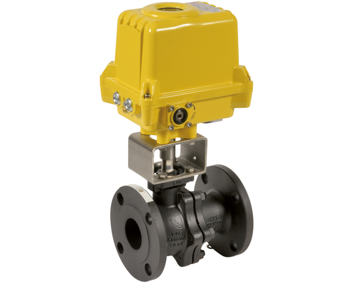 Split-body carbon steel flanged ball valve 752 DN15 + SA05X 230V AC